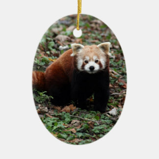 Red Panda Keramisch Ornament