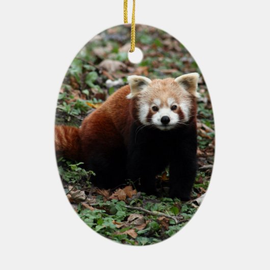 Red Panda Keramisch Ornament (Achterkant)