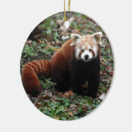 Red Panda Keramisch Ornament (Links)