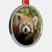 Red Panda kerstversiering Metalen Ornament (Rechts)