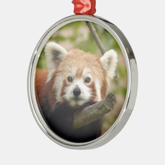Red Panda kerstversiering Metalen Ornament (Links)