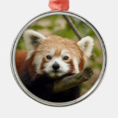 Red Panda kerstversiering Metalen Ornament (Voorkant)
