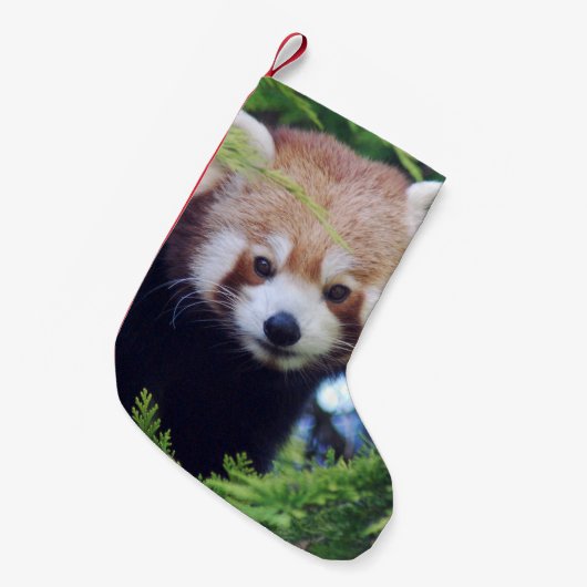 Red Panda Kleine Kerstsok (Voorkant (Hangend))