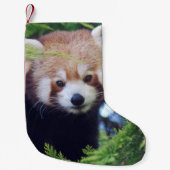 Red Panda Kleine Kerstsok (Voorkant)