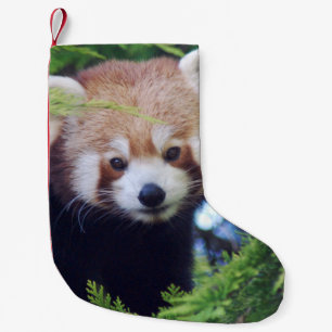Red Panda Kleine Kerstsok