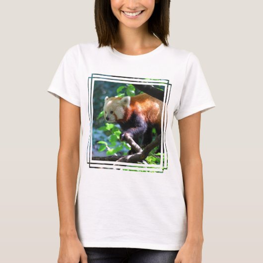 Red Panda-klimmer T-shirt (Voorkant)
