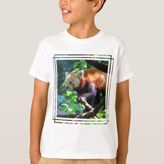 Red Panda-klimmer T-shirt (Voorkant)