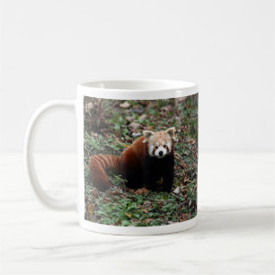 Red Panda Koffiemok