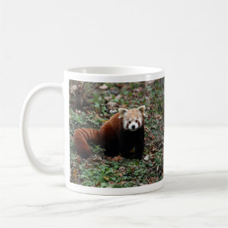 Red Panda Koffiemok