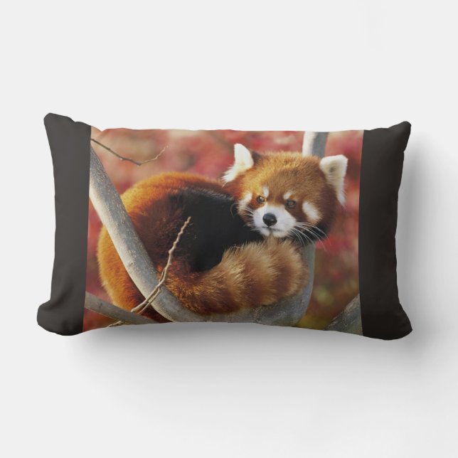 Red Panda Kussen (Voorkant)