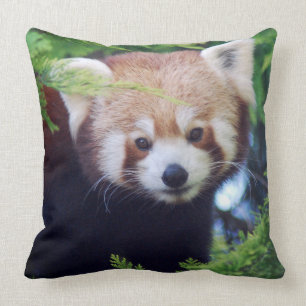 Red Panda Kussen