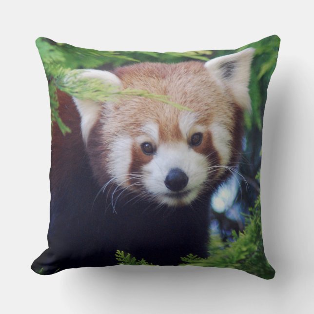 Red Panda Kussen (Voorkant)