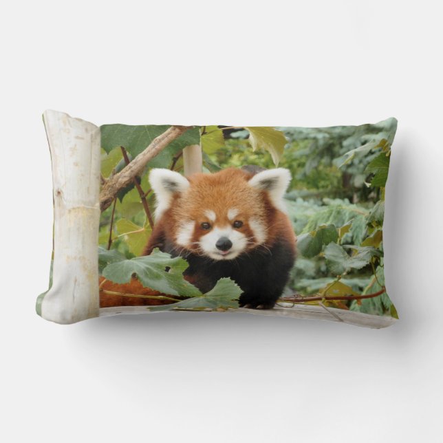 Red Panda Kussen (Voorkant)