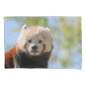 Red Panda Kussensloop (Voorkant)