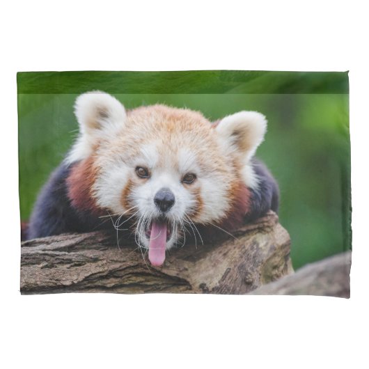 Red Panda Kussensloop (Voorkant)
