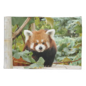 Red Panda Kussensloop (Achterkant)