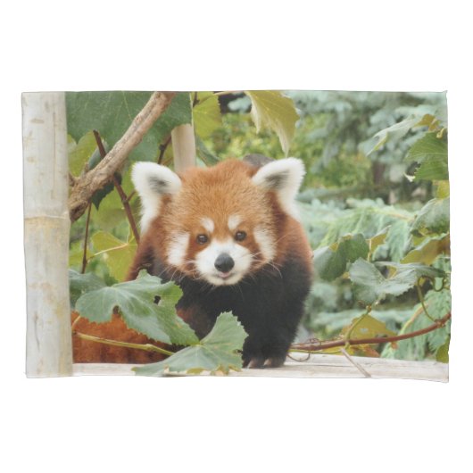 Red Panda Kussensloop (Voorkant)