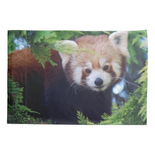 Red Panda Kussensloop (Achterkant)