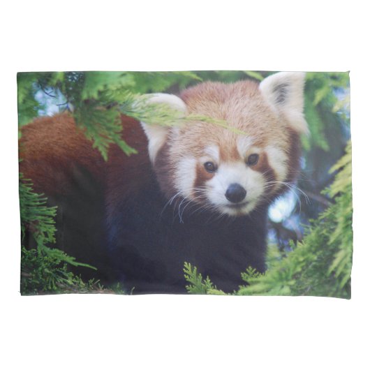 Red Panda Kussensloop (Voorkant)