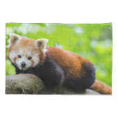 Red Panda Kussensloop (Achterkant-Links)