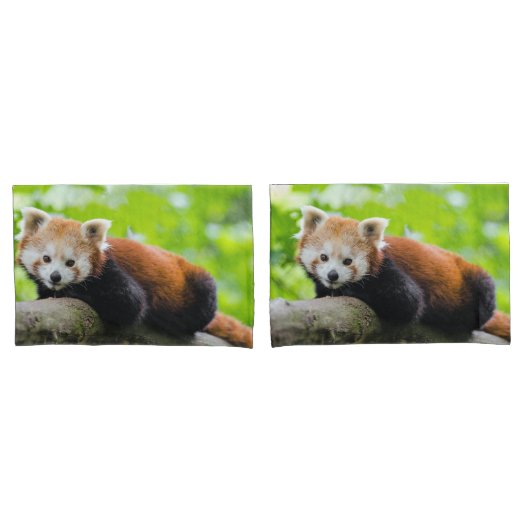 Red Panda Kussensloop (Voorkant-Set)