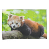 Red Panda Kussensloop (Voorkant-Rechts)