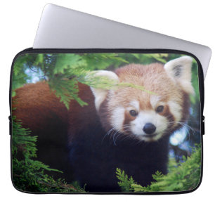 Red Panda Laptop Sleeve