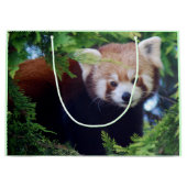 Red Panda Large Cadeautasje (Voorkant)