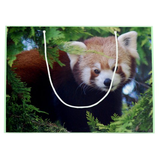 Red Panda Large Cadeautasje (Voorkant)