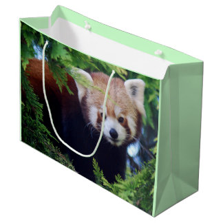 Red Panda Large Cadeautasje