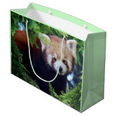Red Panda Large Cadeautasje (Achterkant Gekanteld)