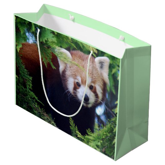 Red Panda Large Cadeautasje (Achterkant Gekanteld)