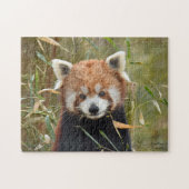 Red Panda Legpuzzel (Horizontaal)