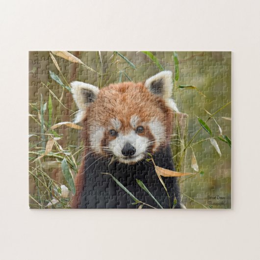 Red Panda Legpuzzel (Horizontaal)