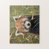 Red Panda Legpuzzel (Verticaal)