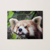 Red Panda Legpuzzel (Horizontaal)
