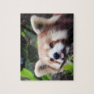 Red Panda Legpuzzel
