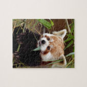 Red Panda Legpuzzel (Horizontaal)