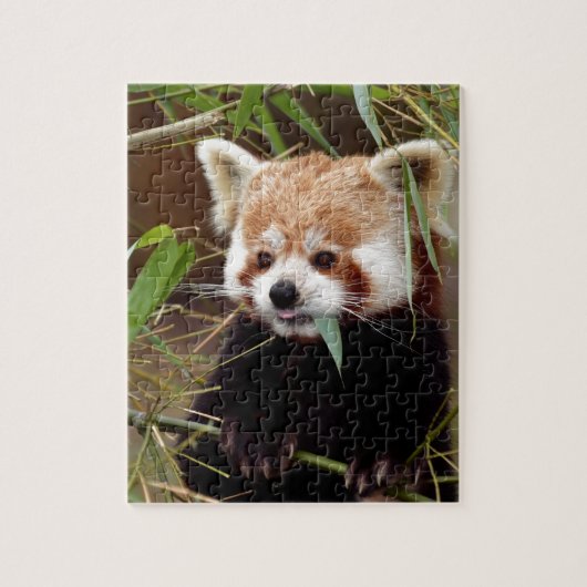 Red Panda Legpuzzel (Verticaal)