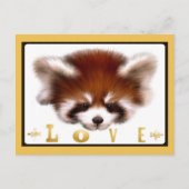 Red Panda Love Briefkaart (Voorkant)
