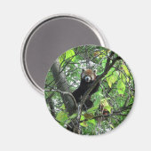 Red Panda Magneet (Voorkant / Achterkant)
