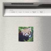 Red Panda Magneet (Insitu (Vaatwasser))