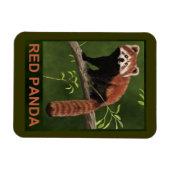 Red Panda Magneet (Horizontaal)