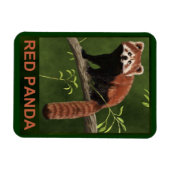 Red Panda Magneet (Horizontaal)