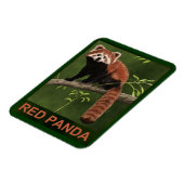 Red Panda Magneet (Linkerzijde)