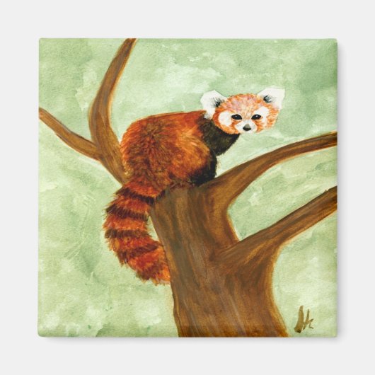 Red Panda Magnet (Voorkant)