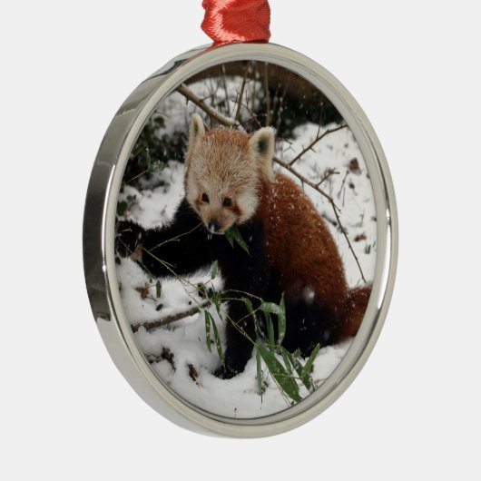 Red Panda Metalen Ornament (Rechts)