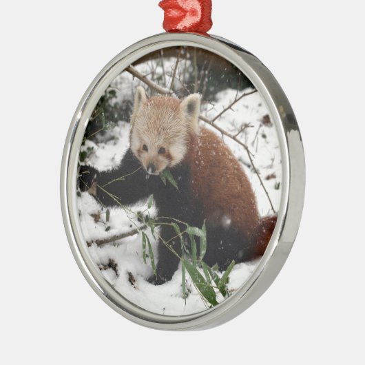 Red Panda Metalen Ornament (Links)