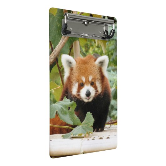Red Panda Mini Klembord (Schuin)