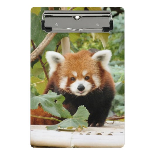 Red Panda Mini Klembord (Voorkant)